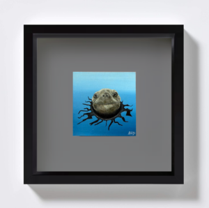 Schildkröte