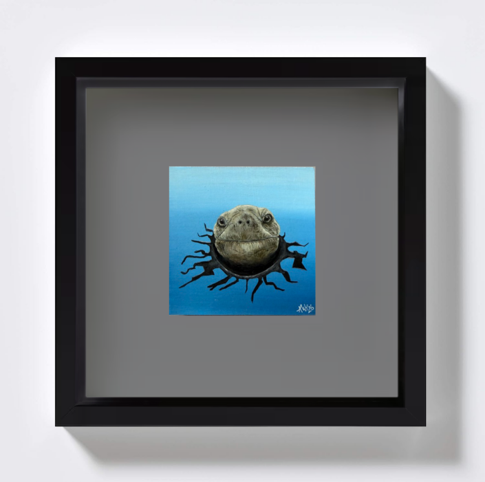 Schildkröte